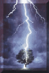 Avatar de Thunder